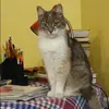 Отзыв от Наиля Белякова
